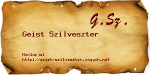 Geist Szilveszter névjegykártya